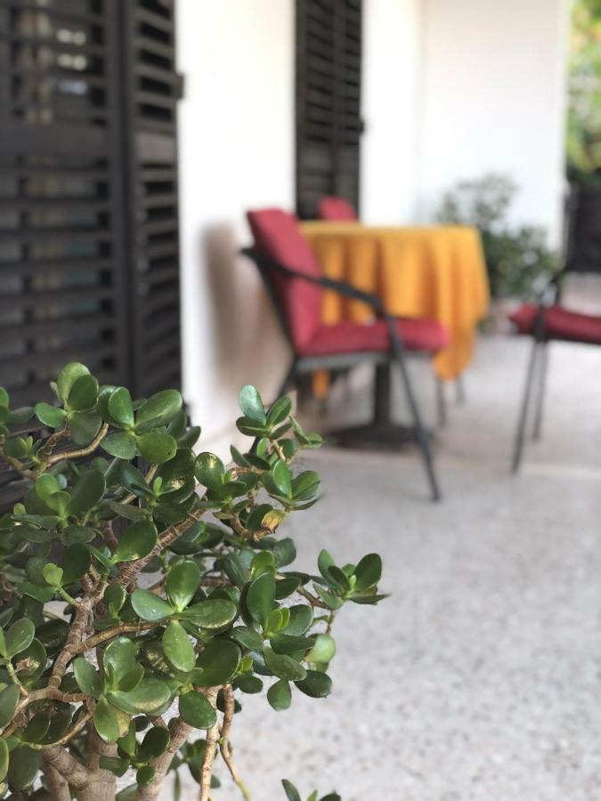 Guest House Plima 2 Будва Екстер'єр фото