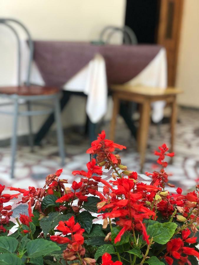 Guest House Plima 2 Будва Екстер'єр фото